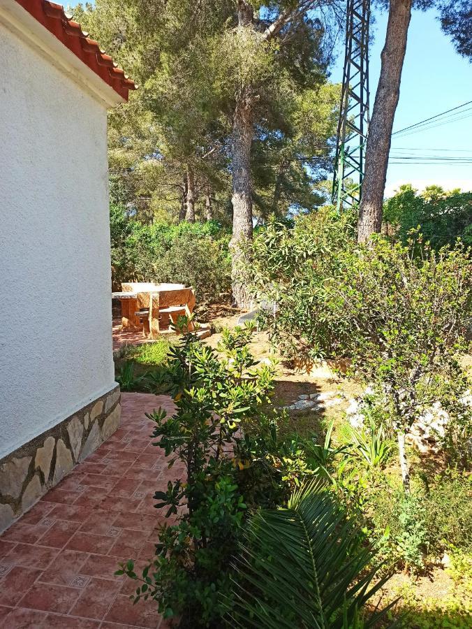 Javea Villa El Nido 10-15P Pool Minimaal 10 Nachten Geen Groep Jongelui المظهر الخارجي الصورة